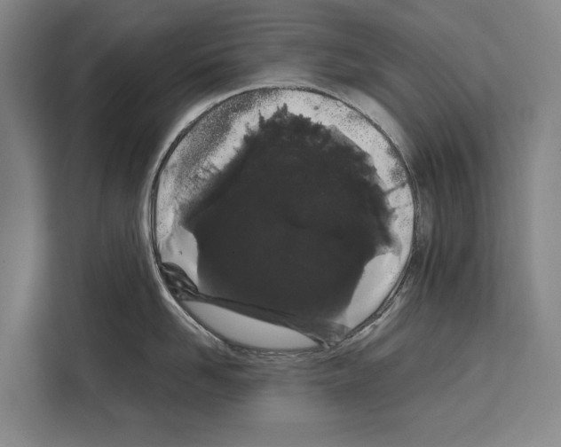 X0000108480958200905151220