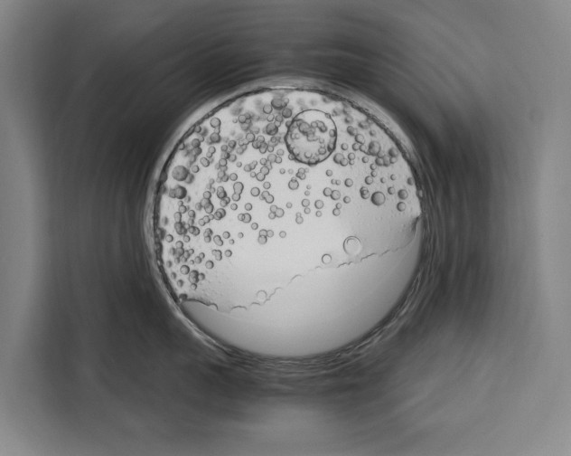 X0000108480959200905151220