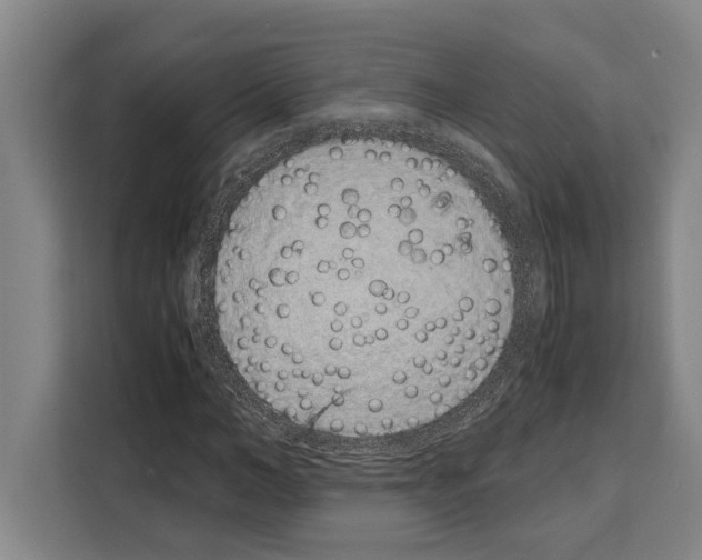 X0000108480966200905151219