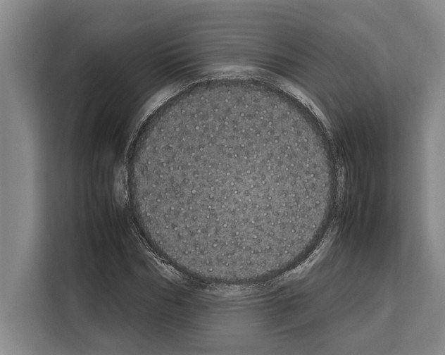 X0000108480970200905151219