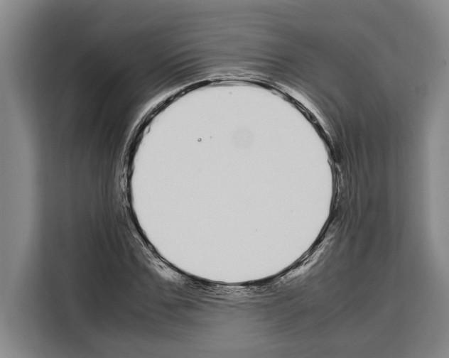X0000108480971200905151219