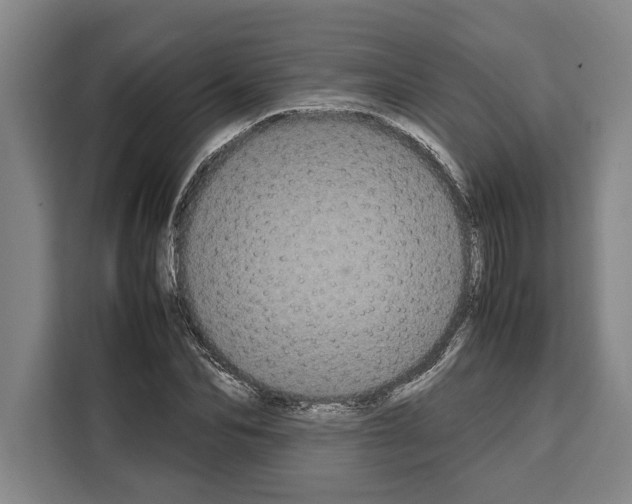 X0000108480974200905151219