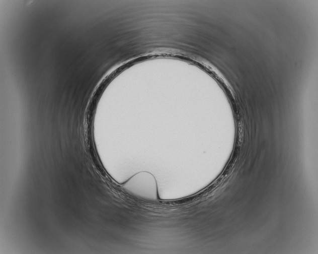 X0000108480975200905151219
