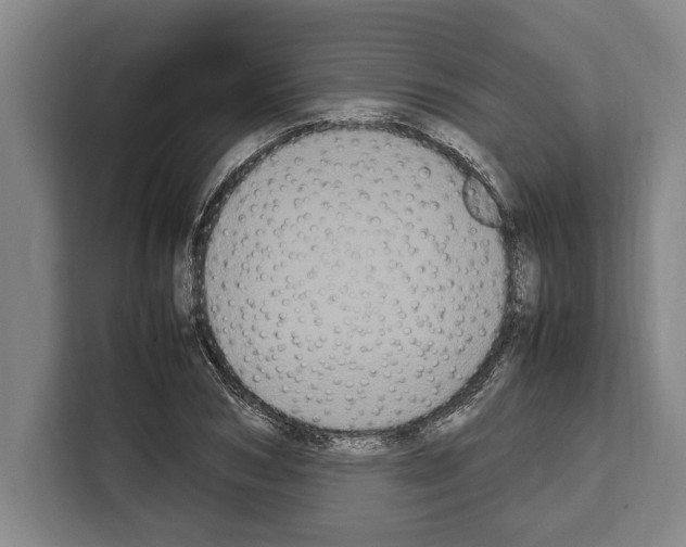 X0000108480978200905151219