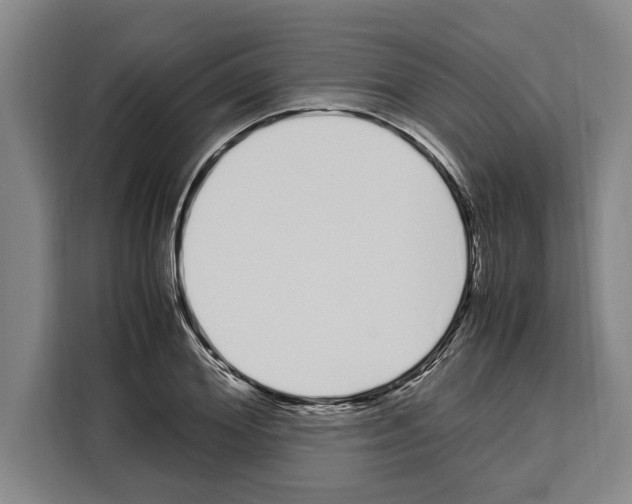 X0000108480980200905151219