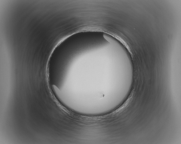 X0000108480981200905151219