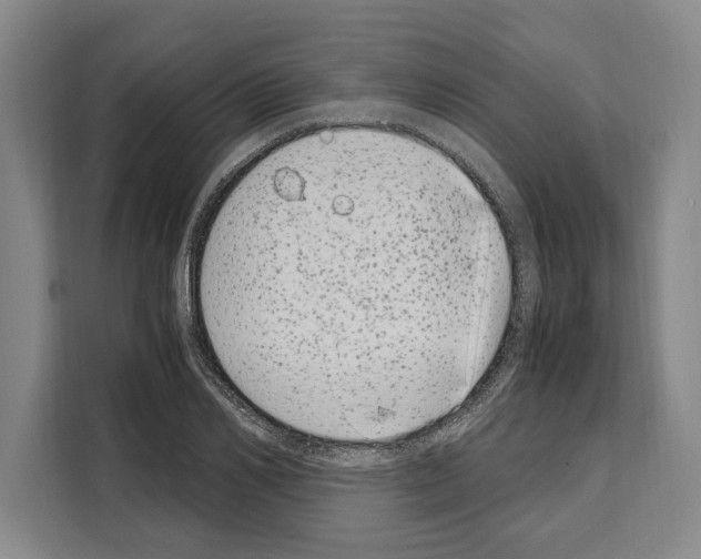 X0000108480982200905151219