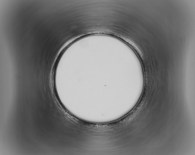X0000108480983200905151219