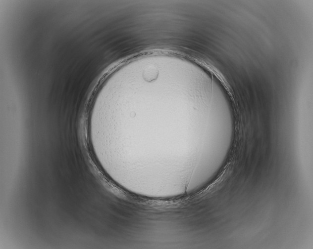 X0000108480984200905151219