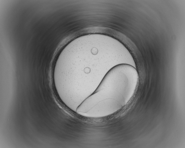 X0000108480986200905151219