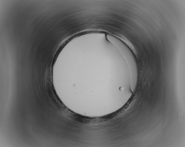 X0000108480988200905151219
