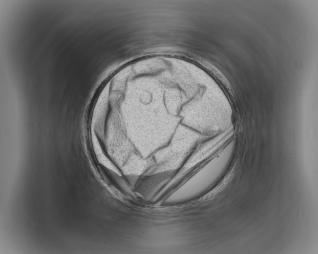 X0000108480989200905151219