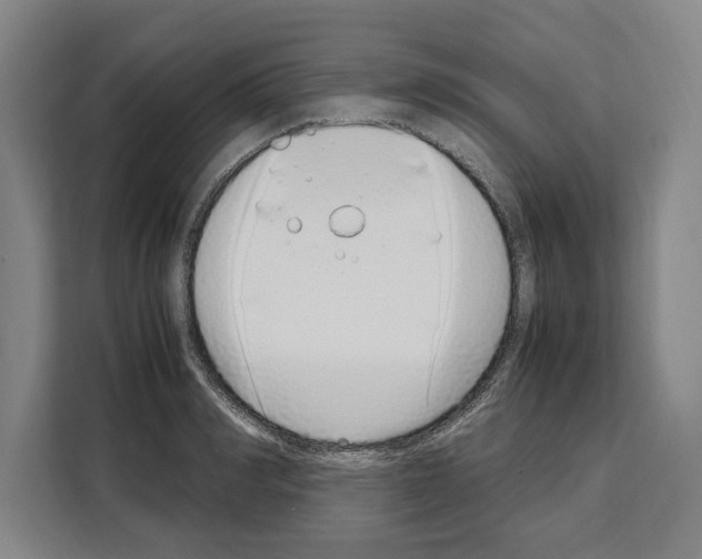X0000108480990200905151219