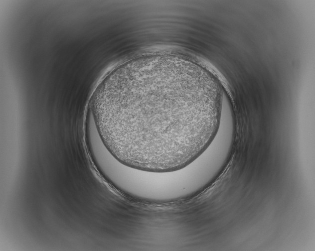 X0000108480994200905151219