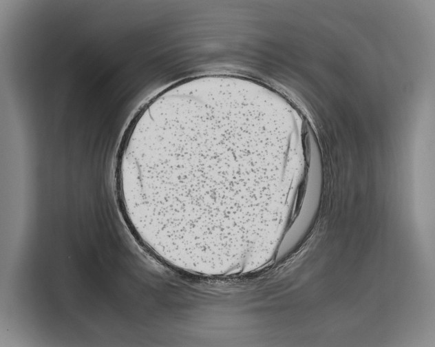 X0000108480995200905151219