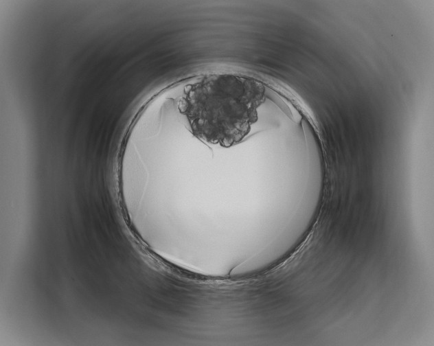 X0000108480996200905151219