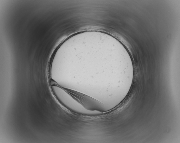 X0000108480997200905151219