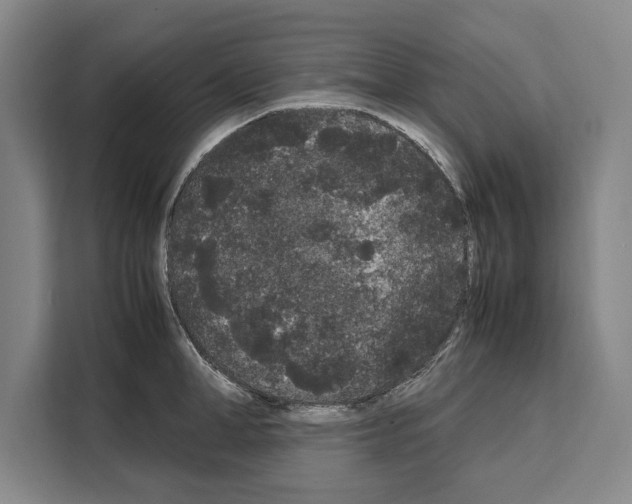 X0000108480998200905151219