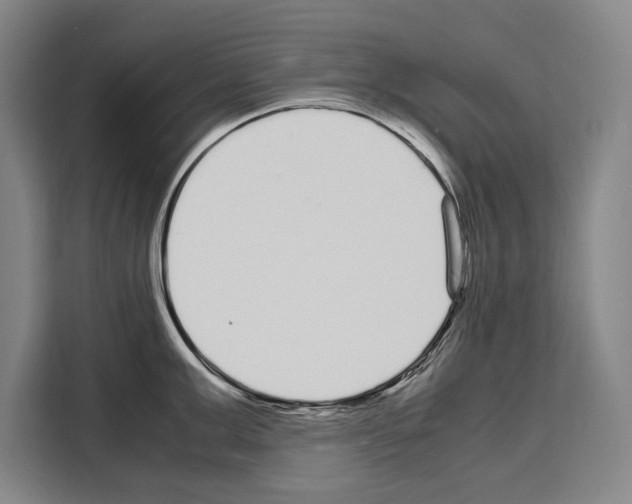 X0000108480999200905151219
