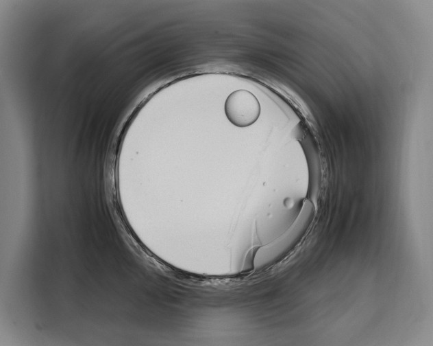 X0000108481000200905151219
