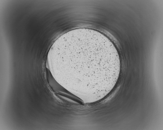 X0000108481001200905151219