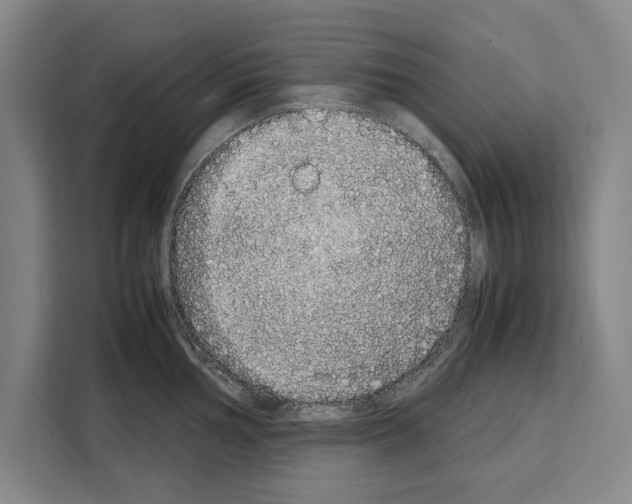 X0000108481002200905151219