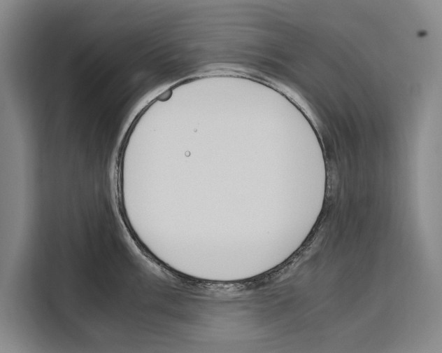 X0000108481003200905151219
