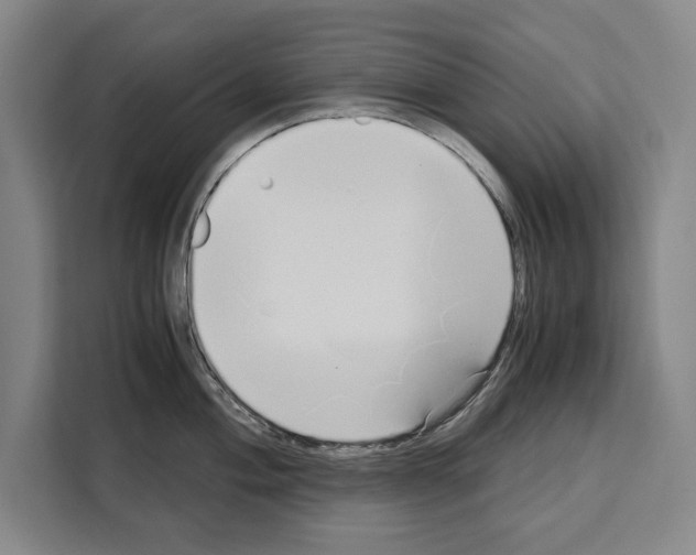 X0000108481004200905151219