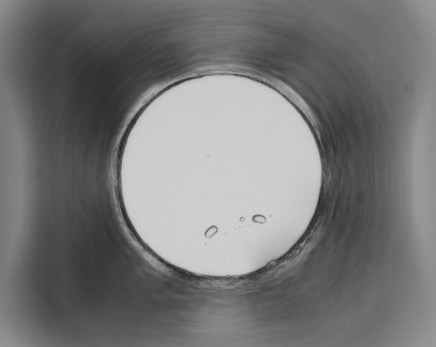 X0000108481005200905151219