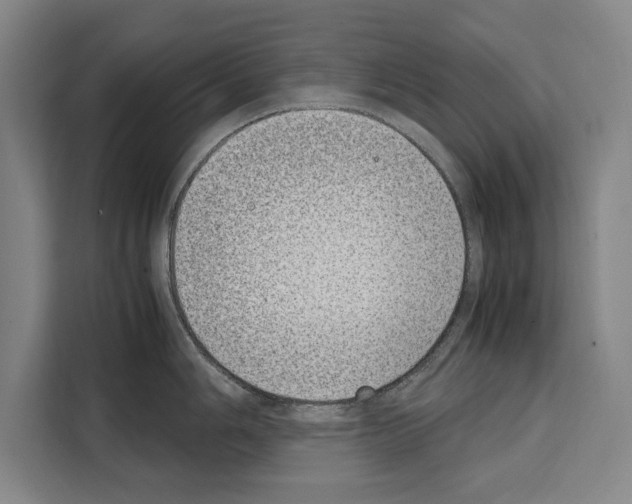X0000108481006200905151219