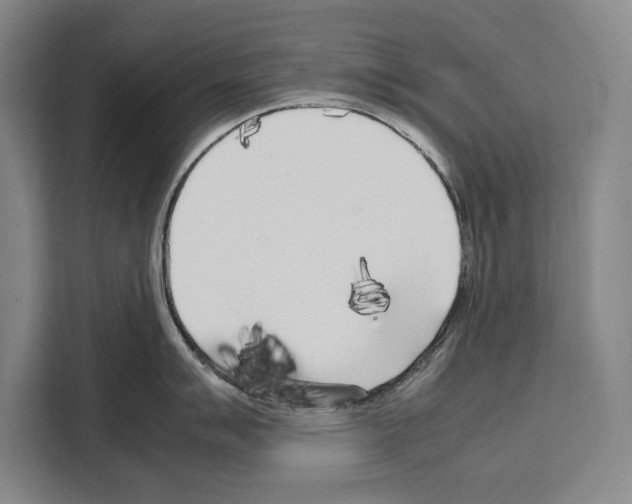 X0000108481007200905151219