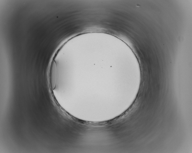 X0000108481008200905151219