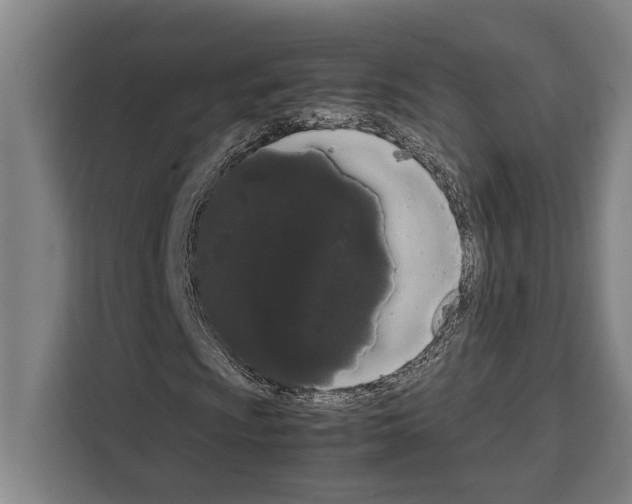 X0000108481009200905151218