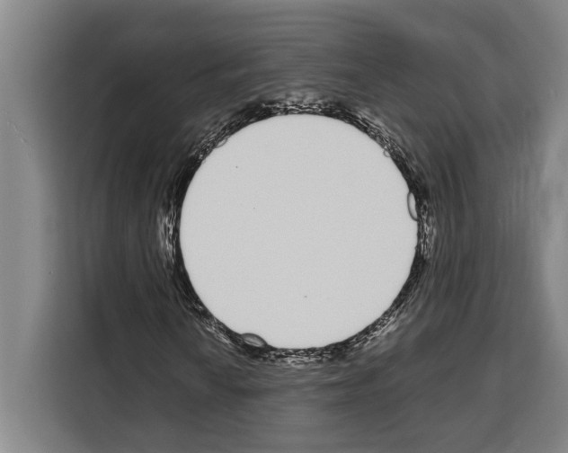 X0000108481010200905151218