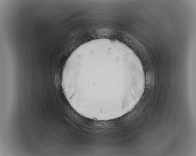 X0000108481011200905151218