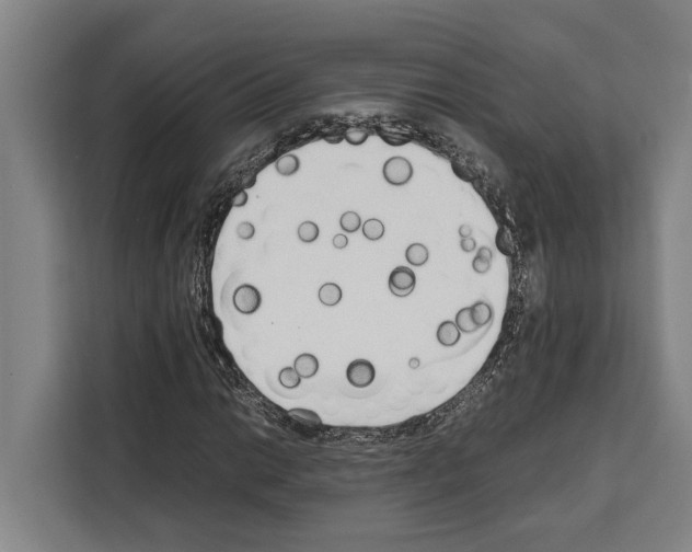 X0000108481014200905151218