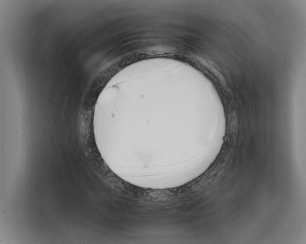 X0000108481015200905151218