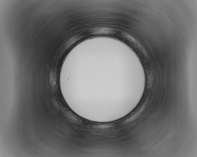 X0000108481017200905151218