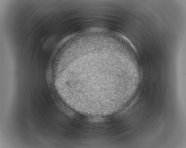 X0000108481019200905151218