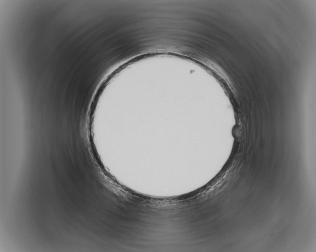 X0000108481020200905151218