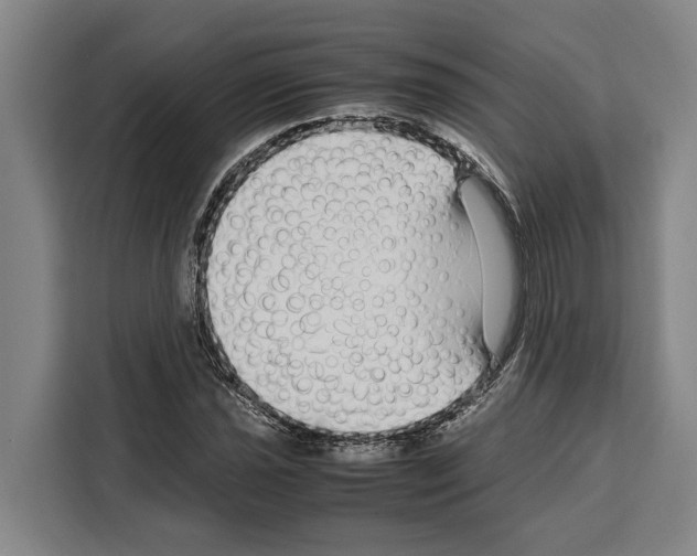 X0000108481021200905151218