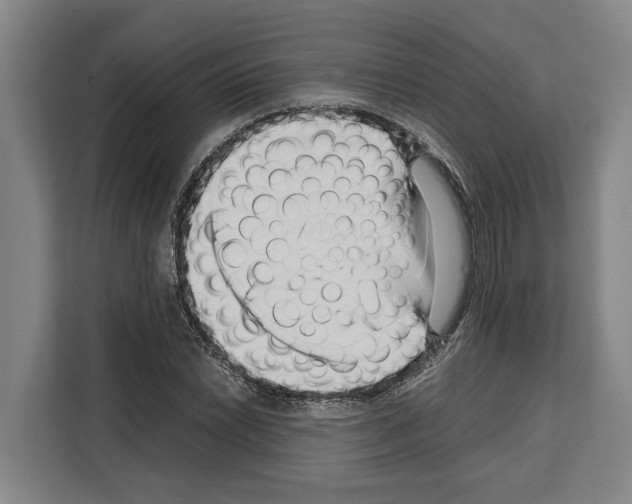 X0000108481022200905151218
