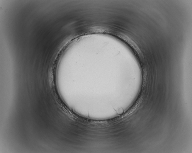 X0000108481023200905151218