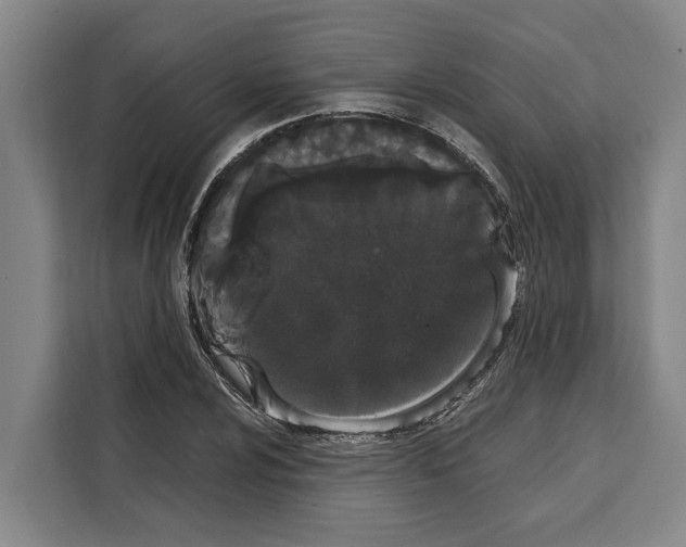 X0000108481024200905151218