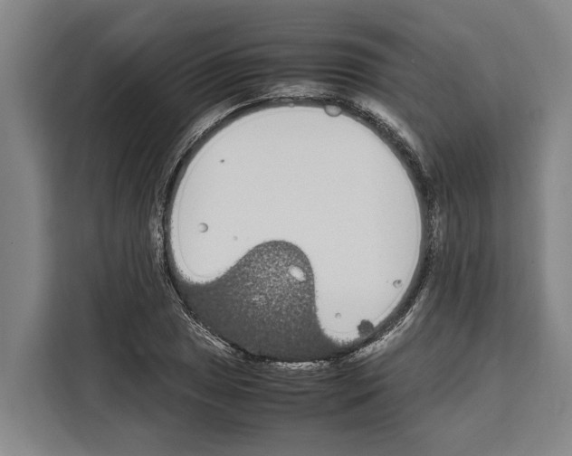X0000108481025200905151219