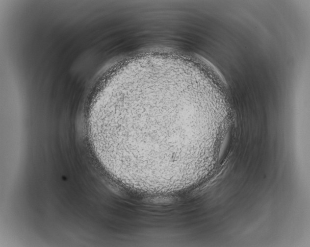 X0000108481027200905151219