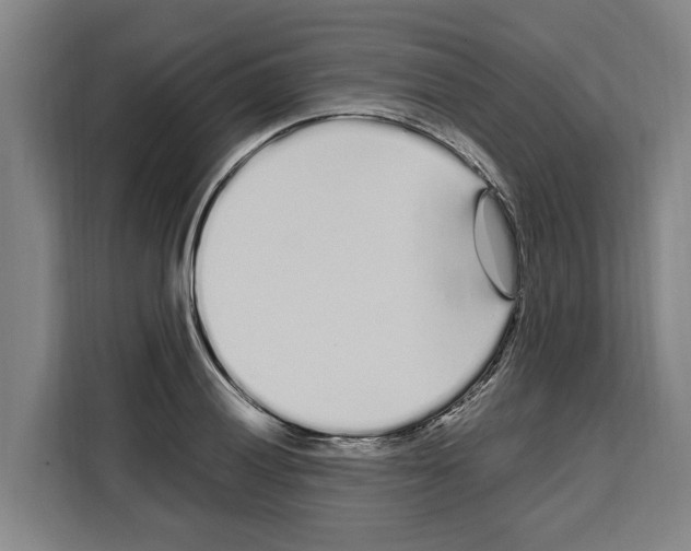 X0000108481028200905151219