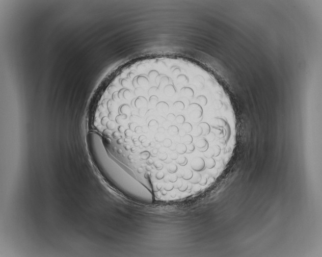 X0000108481030200905151219
