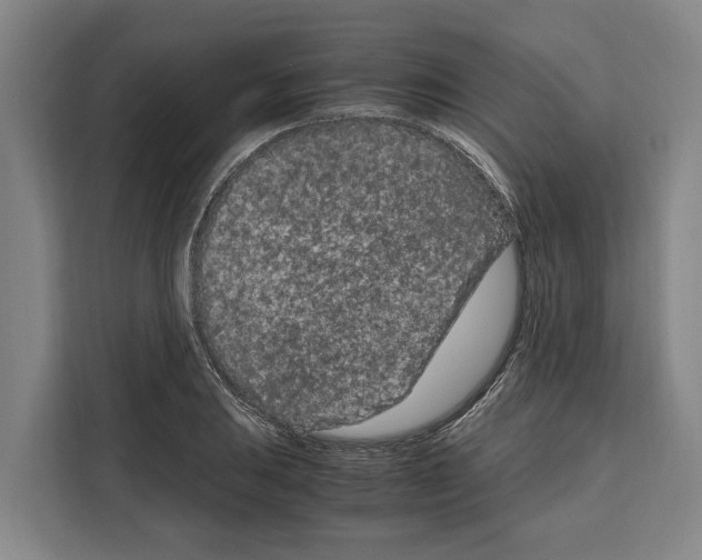 X0000108481031200905151219