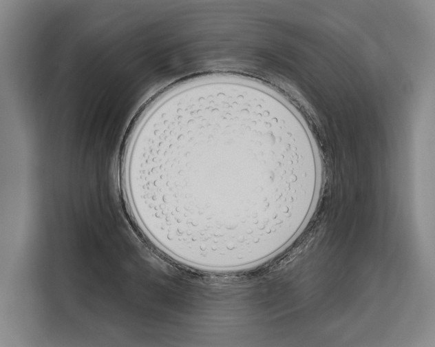 X0000108481032200905151219